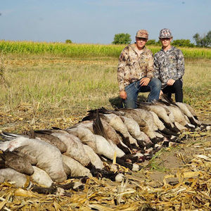 Meet your Posher, Bentley